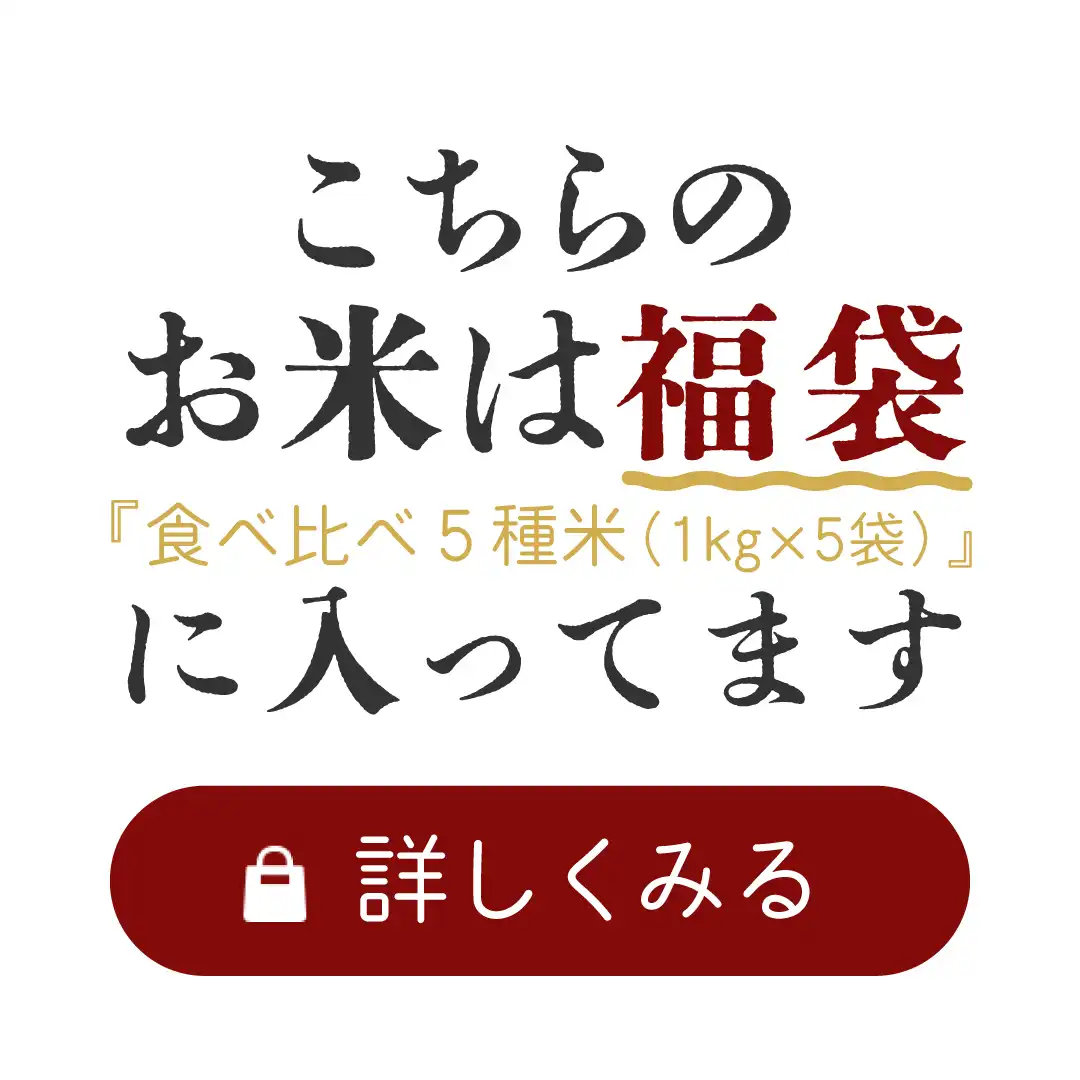 福袋購入ページ