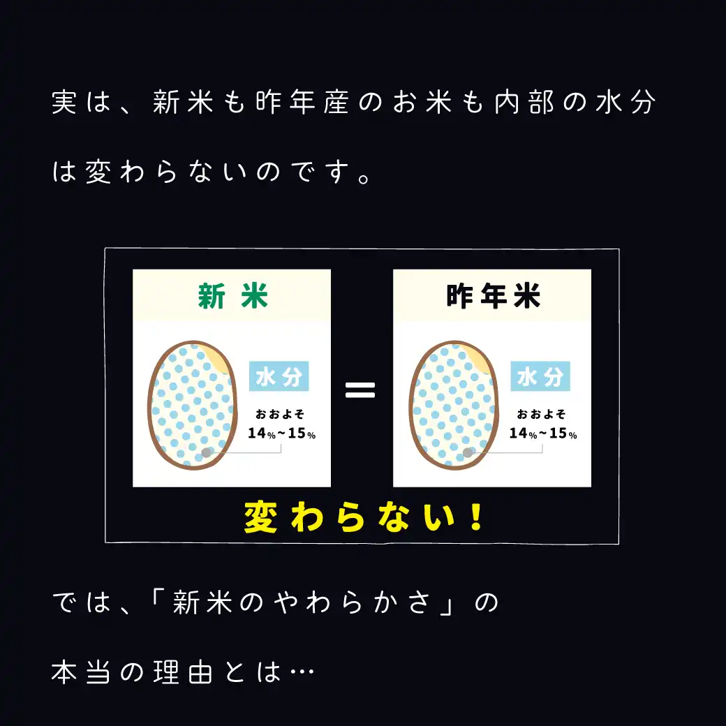 極味