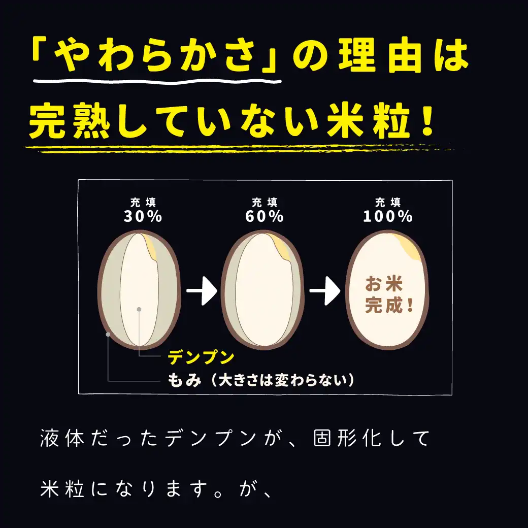 極味