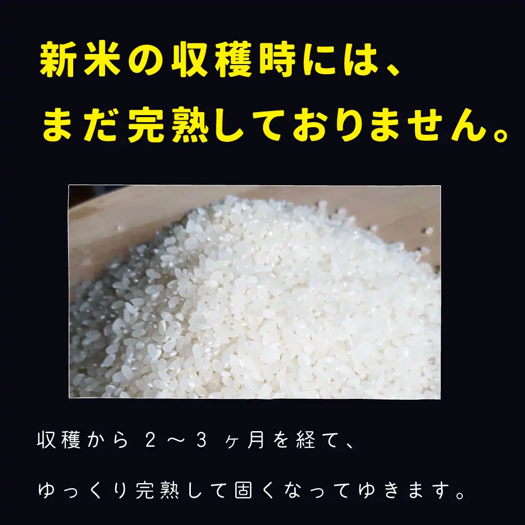 極味