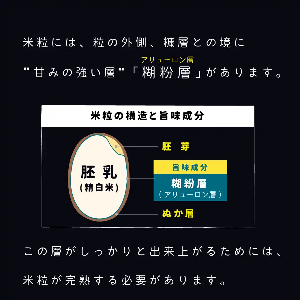 極味