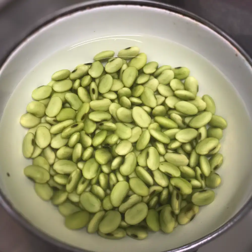 会津産青豆（平床豆）煮かた1