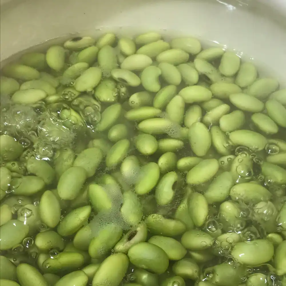 会津産青豆（平床豆）煮かた2