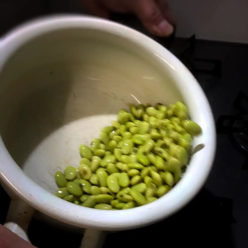 会津産青豆（平床豆）煮かた4