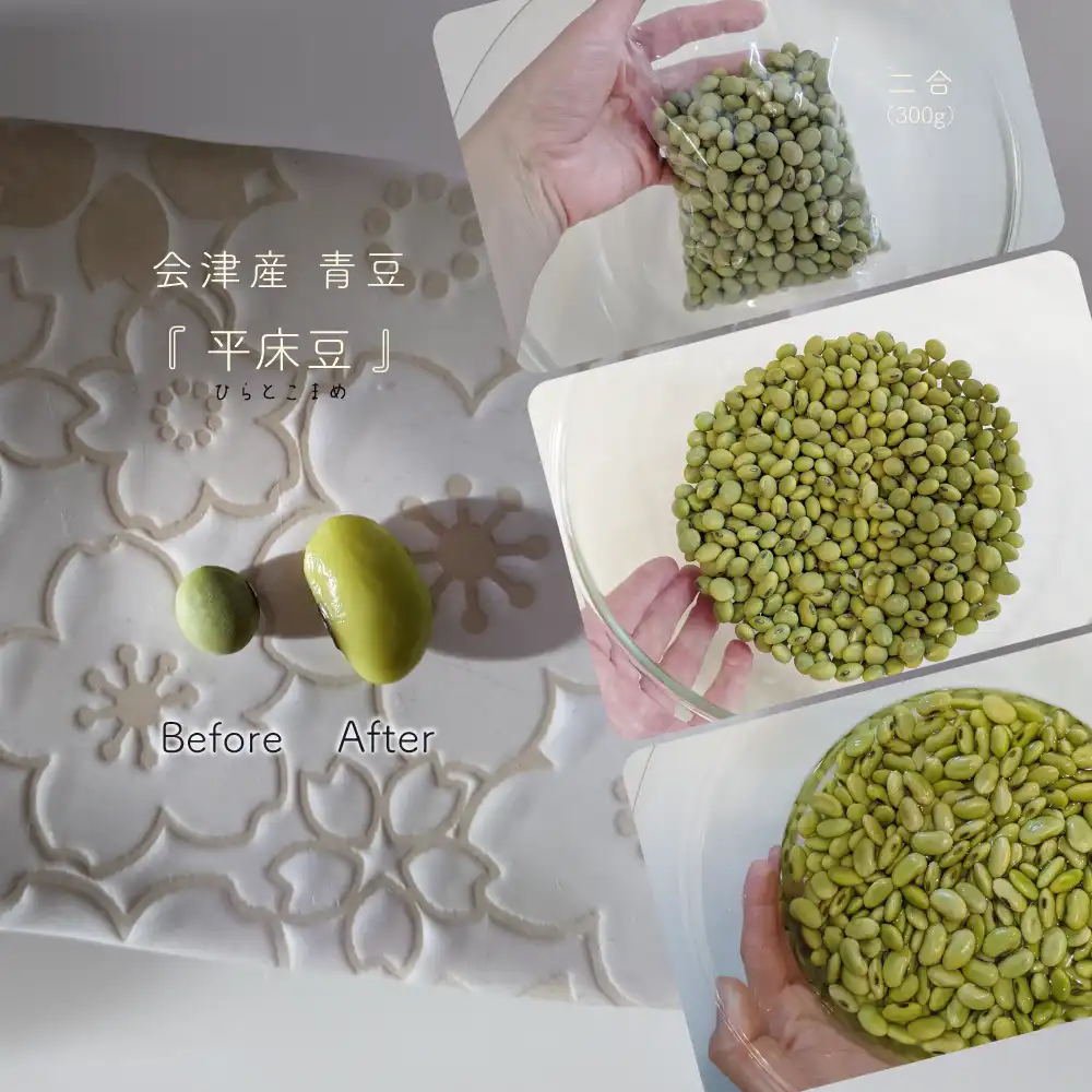 会津産青豆（平床豆）