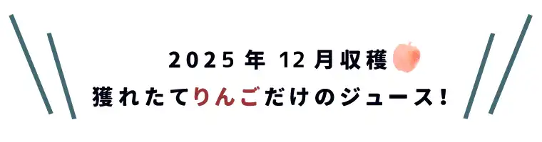 獲れたてりんごだけのジュース