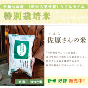 〈新米〉佐原さんの米〈特別栽培米〉｜1kg/2kg/5kg/10kg/15kg/20kg