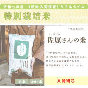 〈新米〉佐原さんの米〈特別栽培米〉｜1kg/2kg/5kg/10kg/15kg/20kg