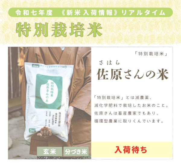 〈新米〉佐原さんの米〈特別栽培米〉｜1kg/2kg/5kg/10kg/15kg/20kg